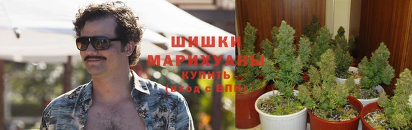 каннабис Беломорск