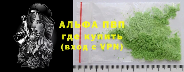 крисы Баксан