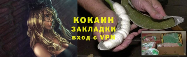 крисы Баксан