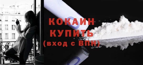 крисы Баксан