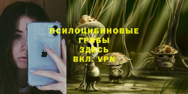 крисы Баксан