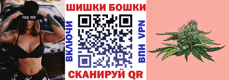 Каннабис сатива  Кущёвская 